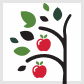 Dundela Window & Door logo